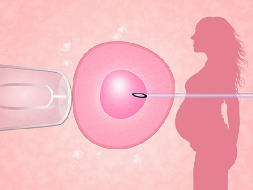 试管婴儿胚胎着床时间全解析（2024最新科学版）1