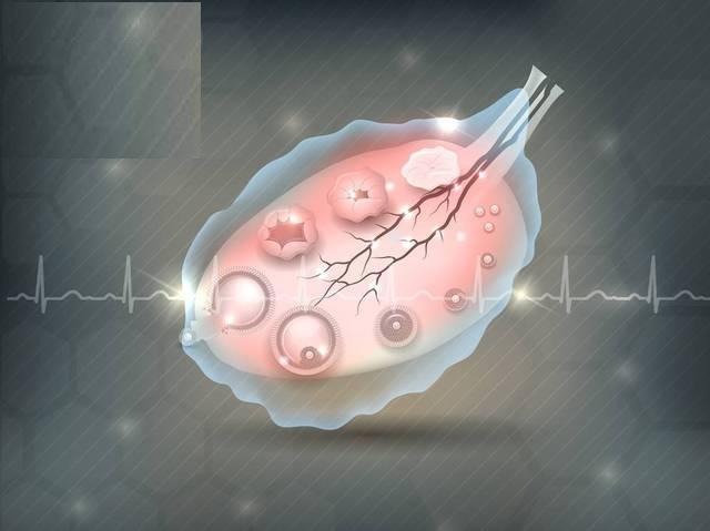 BMI指数与试管婴儿：解锁科学备孕的黄金数值1